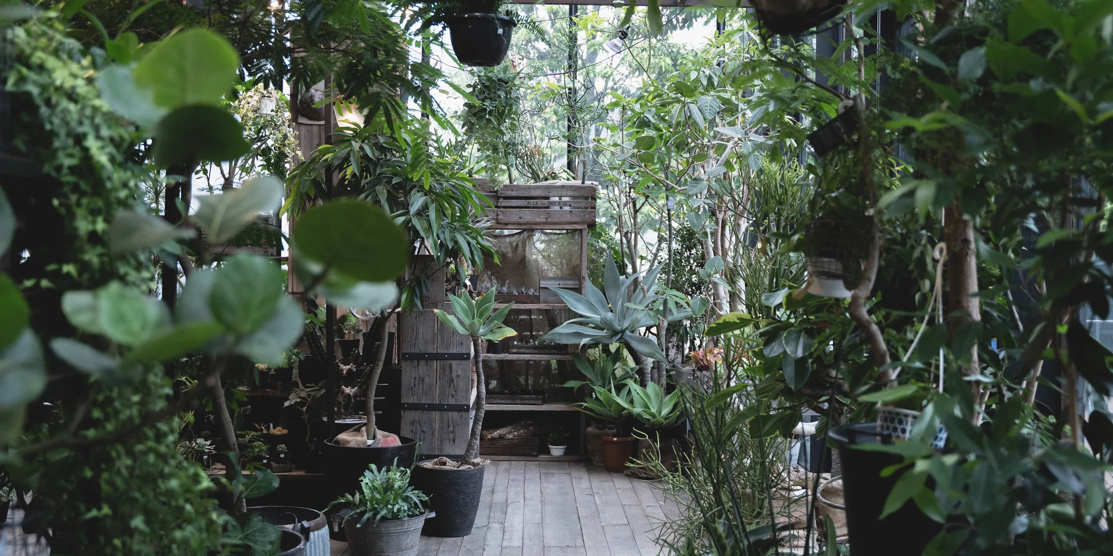 植物を軸にした暮らしを提案！ 注目のグリーン＆インテリアショップ【garage】 の旗艦店が、渋谷スクランブルスクエアに誕生