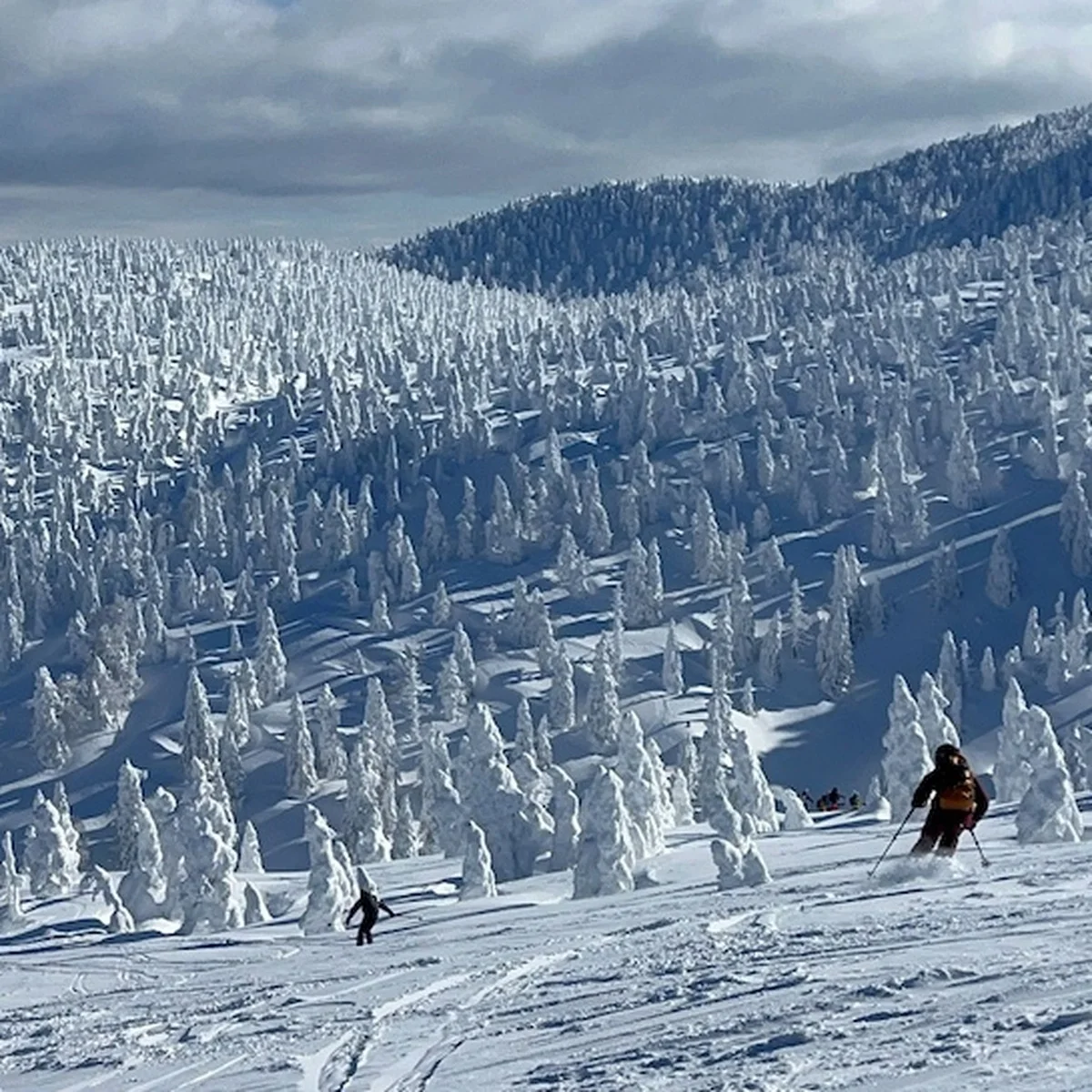 スタイリストの金子夏子による、スキー愛溢れる3日間。「SKI POP UP 夏子の部屋」、今年も開催