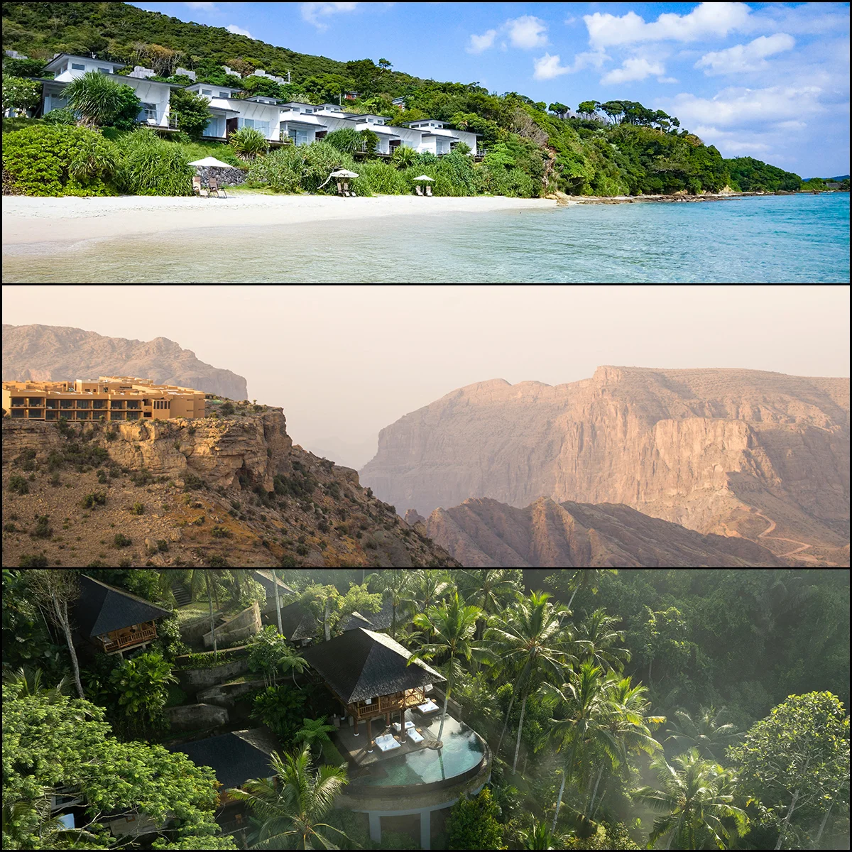 圧倒的な自然や文化に没入する【新ウェルネス旅 ①】トラベルライター・坪田さんに聞く、奄美大島／オマーン／バリへの旅　