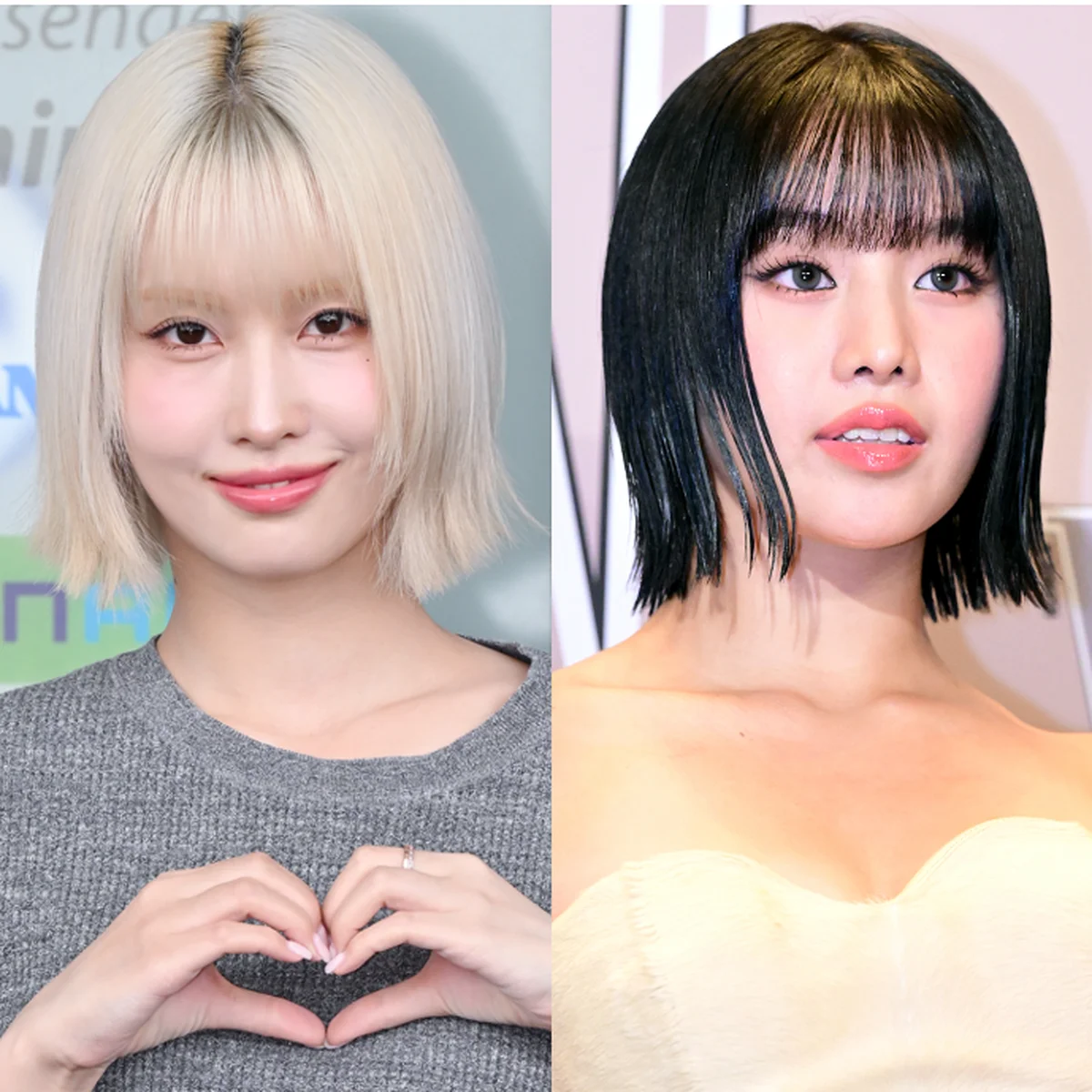 TWICE MOMOも金髪ボブスタイルに！【韓国アイドル&俳優】に根強く人気のボブヘアを調査