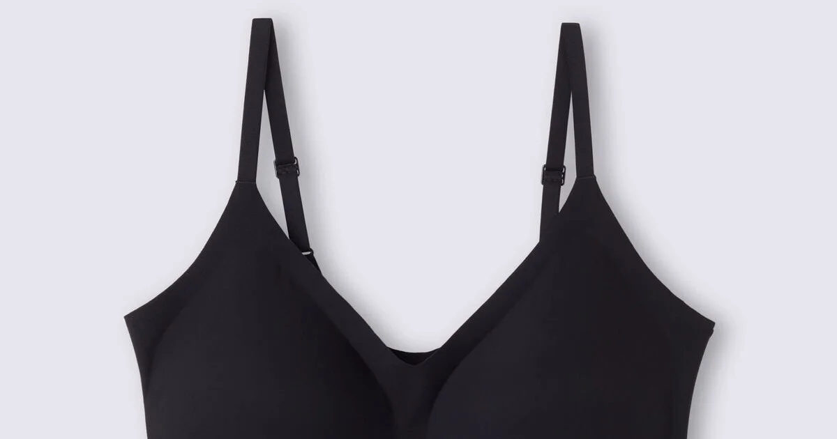 インティミッシミ　人気商品　完売商品　新品！ コットン ショーツ（ショーツ）｜Intimissimi（インティミッシミ