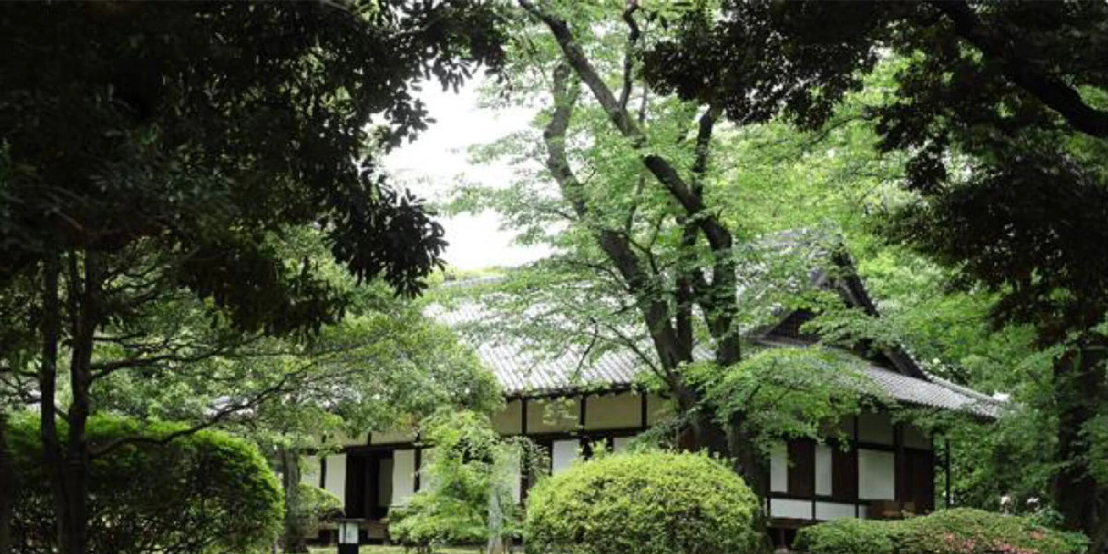 東京国立博物館の貴重な歴史的建造物で、日本文化の魅力を再発見。「TOHAKU茶館」開催