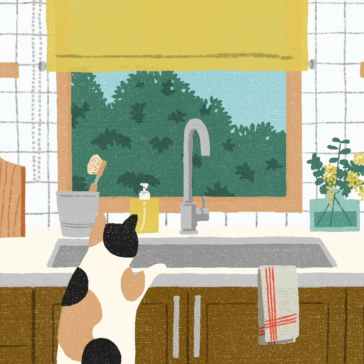 九星気学でひもとく、2026年上半期（２月〜７月）の運気の流れ