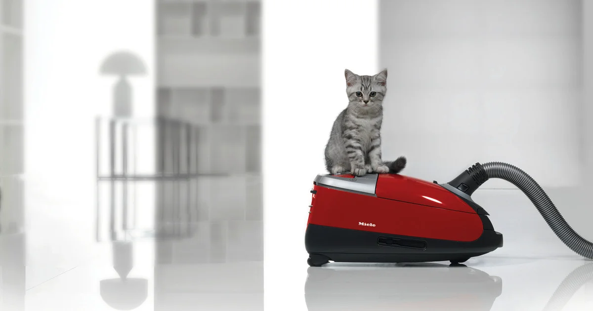2月22日は猫の日！ 【ミーレ】のペットオーナー向け掃除機で細かな毛や